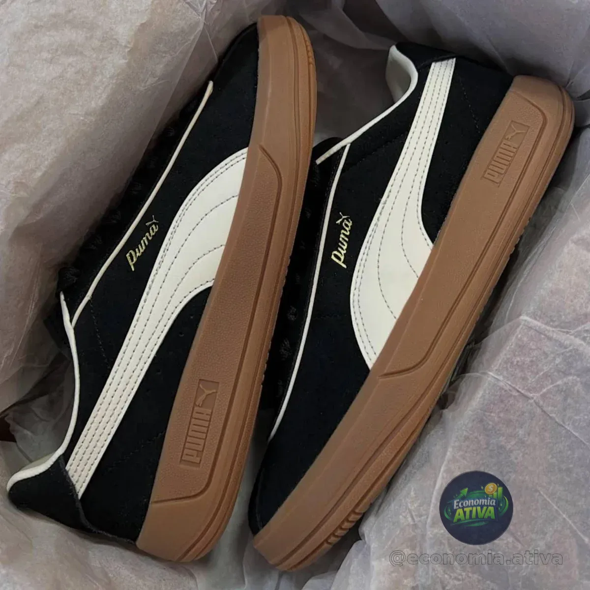 *TIGRINHO PRA ELAS*🙋‍♀️