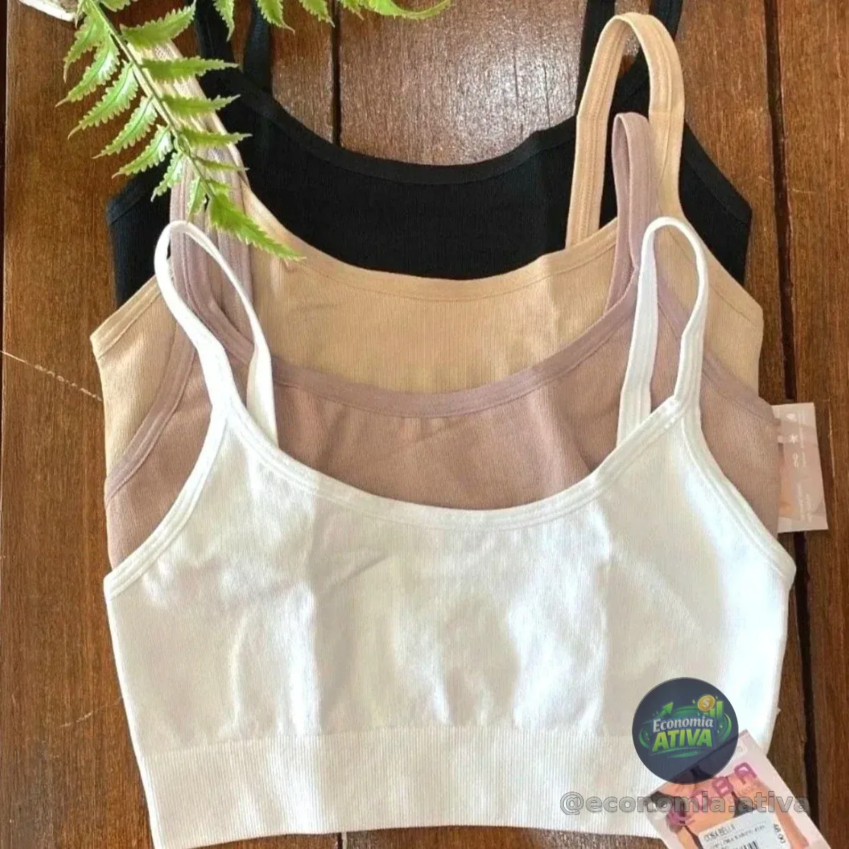 *TOP OFICIAL DAS RATINHAS DE ACADEMIA*