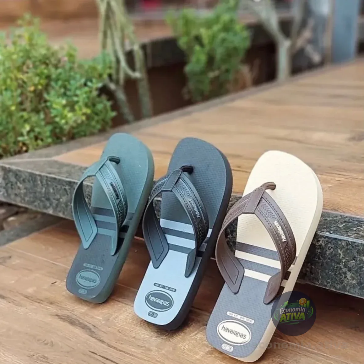 Chinelo City Basic Havaianas (3 cores)