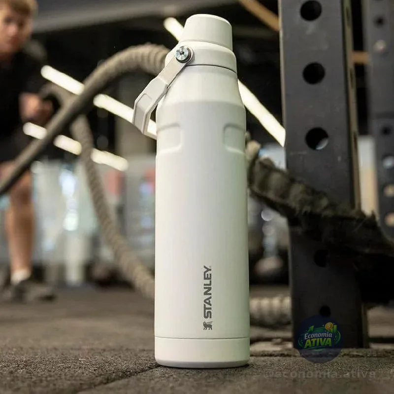 Stanley - Garrafa de água Aerolight com tampa de fluxo rápido, copo isolado a vácuo para bebidas frias, aço inoxidável leve, 710 ml, Polar