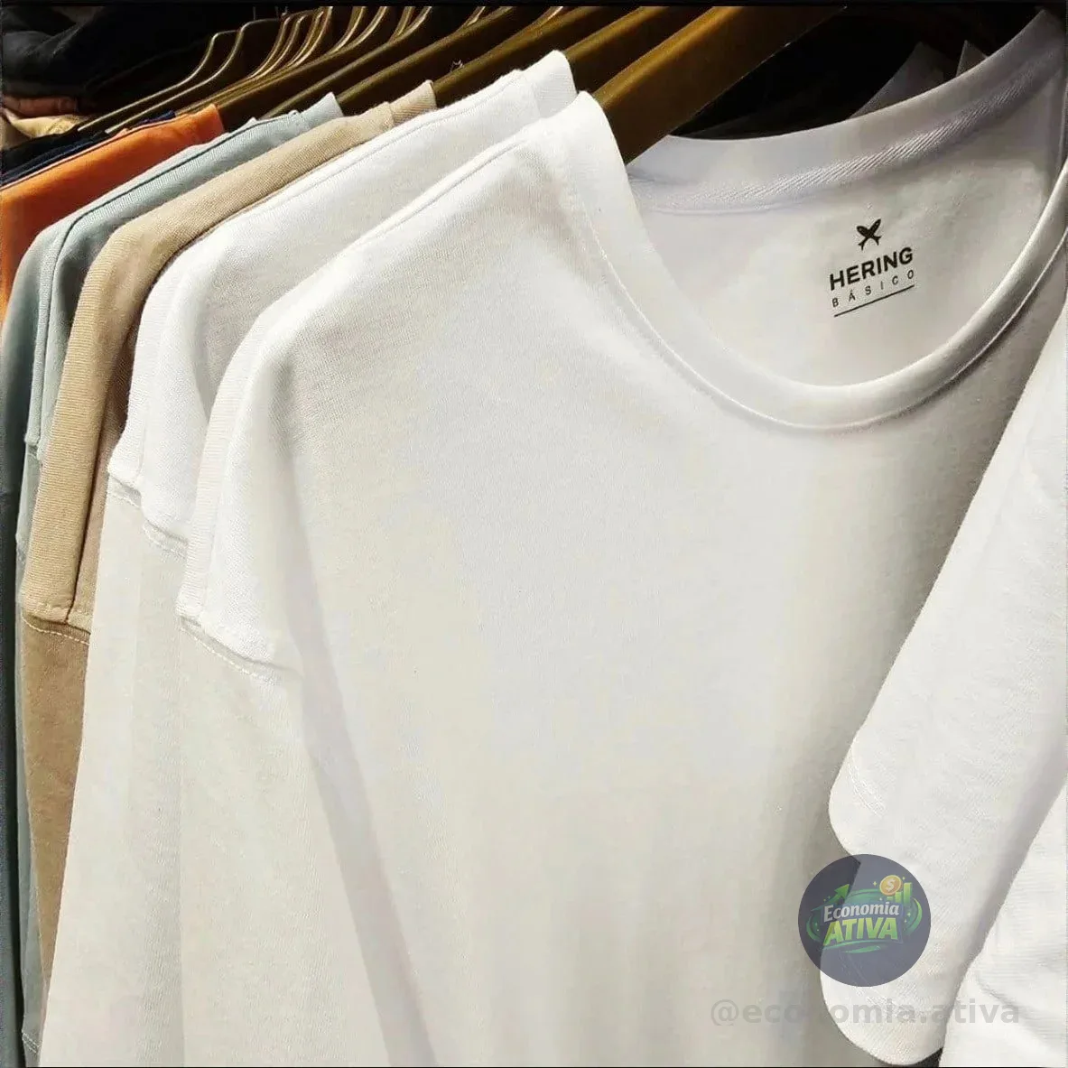 Kit Com 3 Camisetas Masculina 4k6p1cen Básicas Slim Hering Branco Lisa M