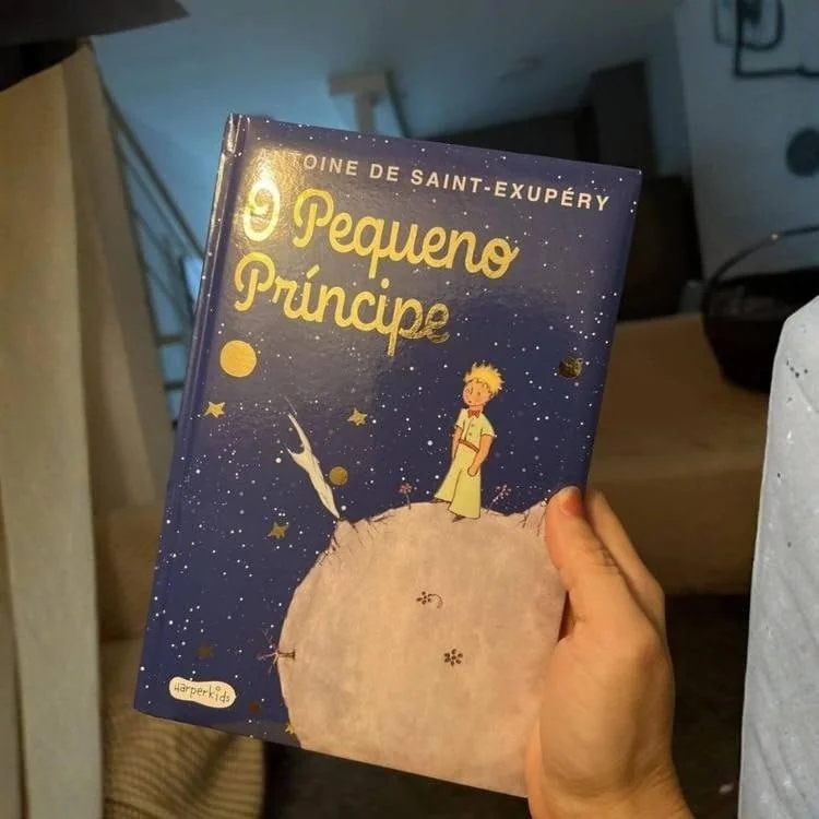 ESSE VALE A LEITURA, pequeno príncipe